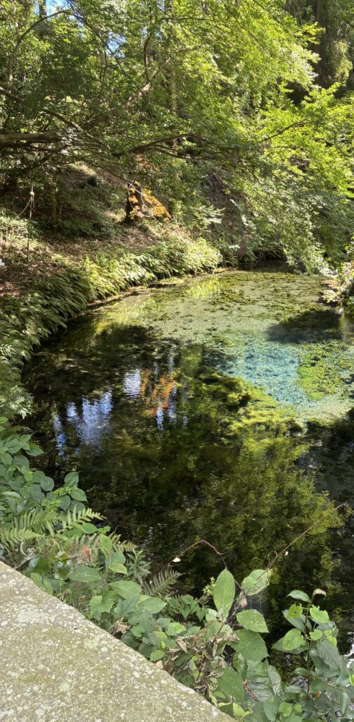 神社側から撮った白川水源の湧水